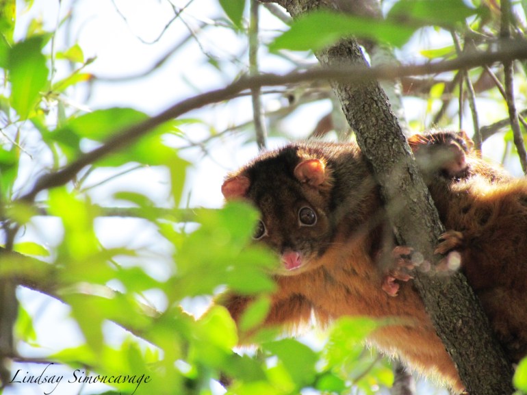 I've got my eye on you