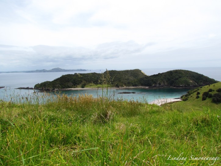 Bay of Islands, North Island, New Zealand
